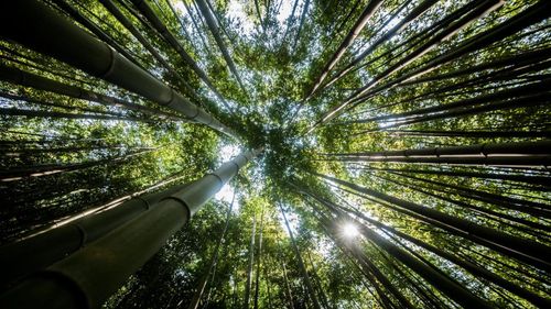 Fenntarthatósági témahét